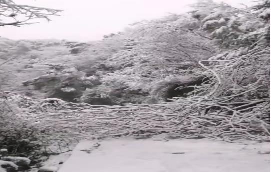 17f0185cf29f26deee0d7394992bb93c241.png 17f0185cf29f26deee0d7394992bb93c241.png